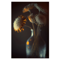 Fotografie Flowers In Low Light, Treechild, 26.7 × 40 cm