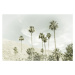 Fotografie Palm Trees in the desert | Vintage, Melanie Viola, (40 x 26.7 cm)