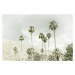 Fotografie Palm Trees in the desert | Vintage, Melanie Viola, 40 × 26.7 cm