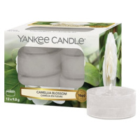 Yankee Candle, Květ kamélie, Svíčky čajové ,12 ks