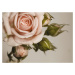 FTN M 2620 AG Design vliesová fototapeta na zeď 1-dílná Pink rose, velikost 160 x 110 cm