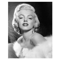 Fotografie Marilyn Monroe, L.A. California, USA, 1953, 30 × 40 cm