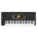 Korg EK-50 Keyboard s dynamikou