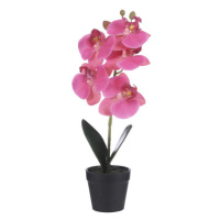 Phalaenopsis hrnkový umělý růžový 34cm