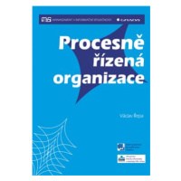 Procesně řízená organizace - Václav Řepa