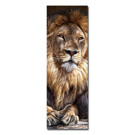 Wallity Obraz KING 30x90 cm hnědý