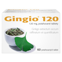 Gingio 120 mg, 60 tablet