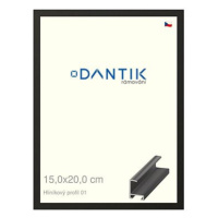 DANTIK rámeček 15 × 20, ALU profil 6001 Černý matný sklo čiré