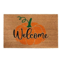 Hanse Home 105665 Rohožka Welcome dýně 45 × 75 cm