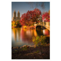 Fotografie Fall in Central Park, Christopher R. Veizaga, 26.7 × 40 cm