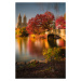 Fotografie Fall in Central Park, Christopher R. Veizaga, 26.7 × 40 cm