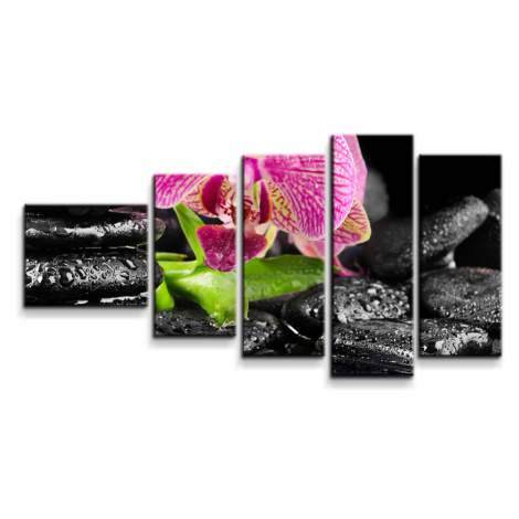 Obraz - 5-dílný Orchidej na kamenech - 100x60 cm