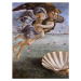 Botticelli, Sandro (Alessandro di Mariano di Vanni Filipepi) - Obrazová reprodukce Zrození Venuš