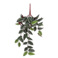 Begonia Rex závěs umělá červeno-zelená 58cm
