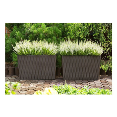 Lamela Truhlík WerbeRatan 190 × 560 mm černý LAMELA PLASTICS