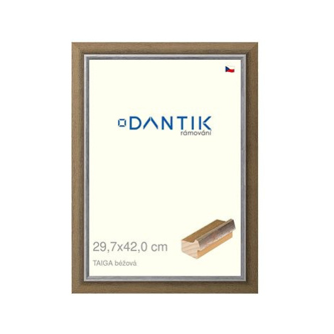 DANTIK rámeček 29,7 × 42, TAIGA béžový plexi čiré