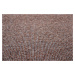 Betap koberce Metrážový koberec Lion 16 - Bez obšití cm