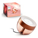 Philips Hue Iris Copper