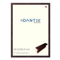 DANTIK rámeček 42 × 59,4, FC hnědý vysoký plexi čiré