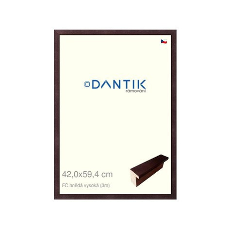 DANTIK rámeček 42 × 59,4, FC hnědý vysoký plexi čiré