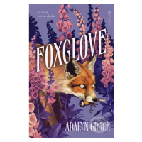 Foxglove (Jej život visí na vlásku) - Adalyn Grace - kniha z kategorie Pro děti