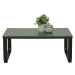 Konferenční stolek THEODORIC zelená/černá