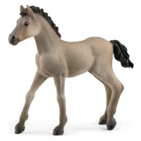 Schleich 13949 Hříbě Criollo Definitivo