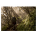 Fotografie Through the Enchanted Forest, Karsten Wrobel, (40 x 30 cm)
