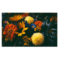 Fotografie Dreamy magic autumn flowers., Olga Niekrasova, 40 × 24.6 cm