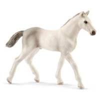 Schleich Holštýnské hříbě