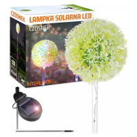 FLD-05-C | Česneková LED zahradní solární lampa | 73 cm, 600 mAh