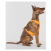 Reflexní postroj pro psy Paikka - oranžová Velikost: M