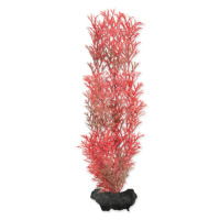 Rostlina Tetra Foxtail Red M 23cm