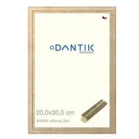 DANTIK rámeček 20 × 30, ANDRE stříbrný sklo čiré