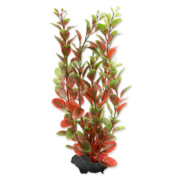 Rostlina Tetra Red Ludwigia M 23cm