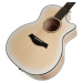 Taylor 614ce LTD 50th Anniversary