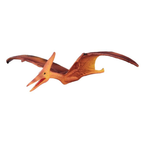 Collecte - Pteranodon Collecta