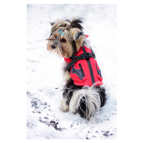 Vsepropejska Tandor zimní bunda pro psa s postrojem Barva: Červená, Délka zad (cm): 50, Obvod hr