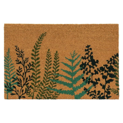 Rohožka z kokosového vlákna 40x60 cm Herbal – Casa Selección