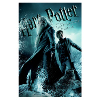 Umělecký tisk Harry Potter and The Half-Blood Prince, (26.7 x 40 cm)