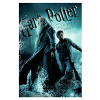 Umělecký tisk Harry Potter and The Half-Blood Prince, 26.7 × 40 cm