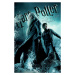 Umělecký tisk Harry Potter and The Half-Blood Prince, 26.7 × 40 cm