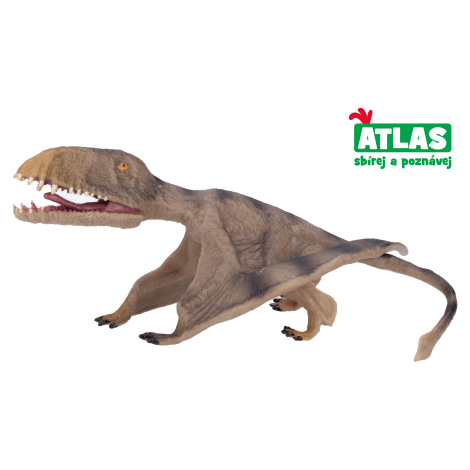 B - Figurka Pterosaurus 17,2 cm ATLAS