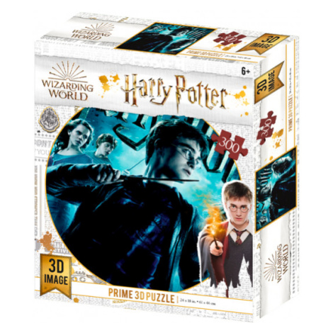 3D puzzle Harry Potter-HarryPotter 300ks Wiky