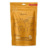 Pochoutka CBD Recovery S 100g