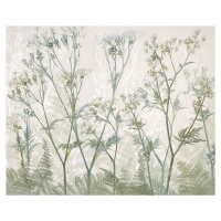 Ilustrace Cow parsley, Nel Talen, (40 x 35 cm)