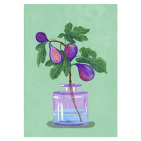 Ilustrace Figs Branch In Vase, Raissa Oltmanns, 30 × 40 cm