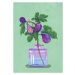 Ilustrace Figs Branch In Vase, Raissa Oltmanns, 30 × 40 cm