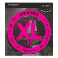 D'Addario ECB81-5