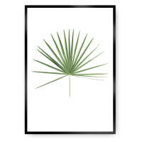 Dekoria Plakát Tropical Leaf Green, 70 x 100 cm, Vybrat rám: Černý